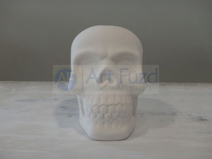 Skull Bank, includes Stopper ~ 3.75 x 6 x 5