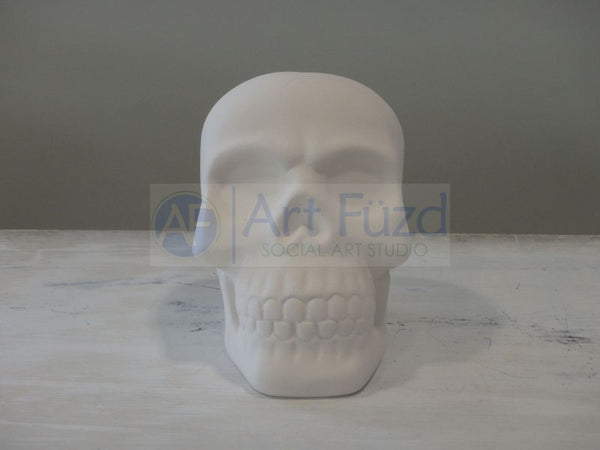 Skull Bank, includes Stopper ~ 3.75 x 6 x 5