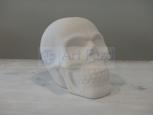 Skull Bank, includes Stopper ~ 3.75 x 6 x 5